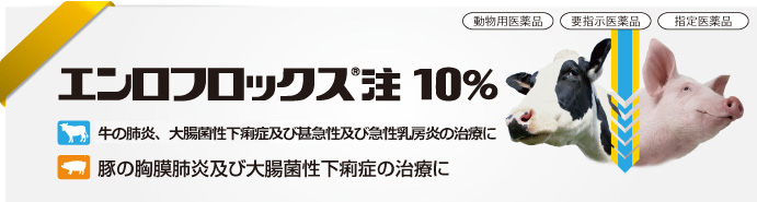 エンロフロックス<sup>®</sup>注10%