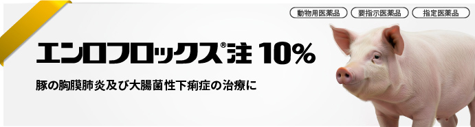 エンロフロックス&reg;注10%