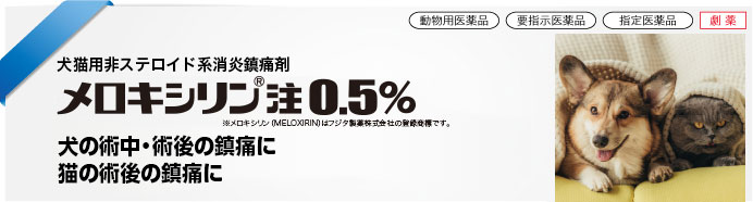 メロキシリン<sup>®</sup>注0.5％
